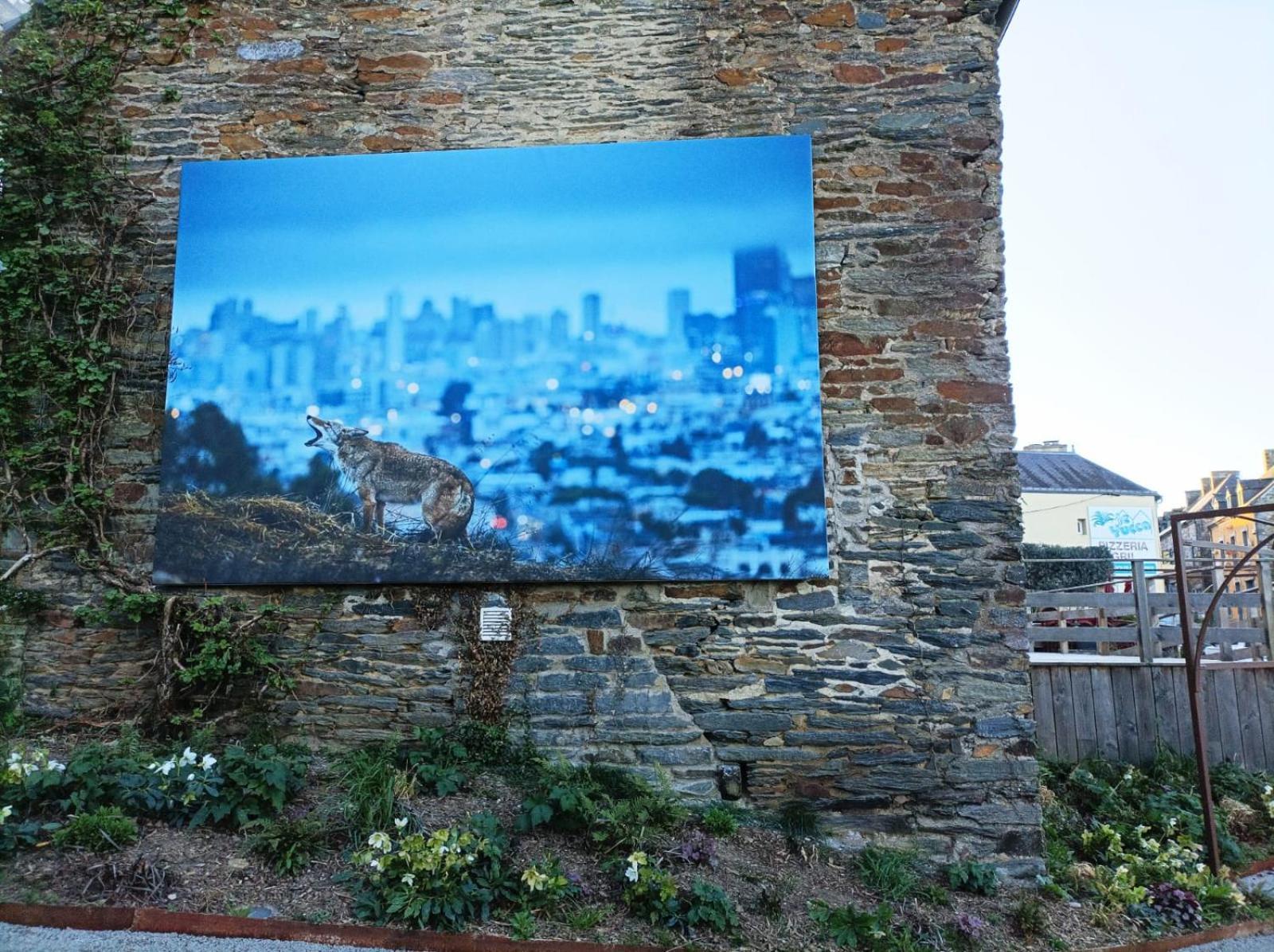 Panoramique Floral Centre Festival Photo Daire La Gacilly Dış mekan fotoğraf